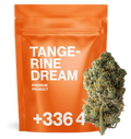 Tangerine Dream 🍊