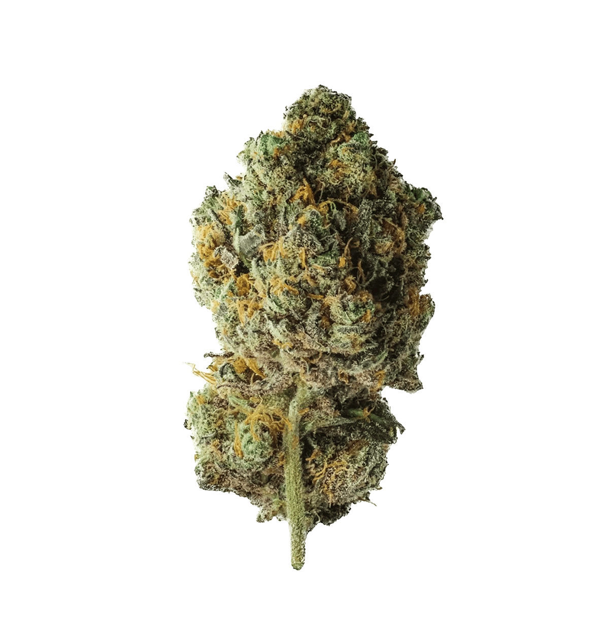 Tangerine Dream 🍊