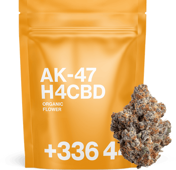 AK-47 H4CBD 🔫