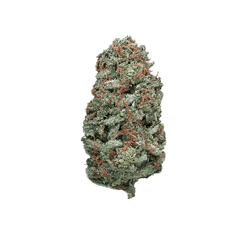 Critical 2.0 - Fleur H4CBD by Tealer420