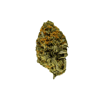 Orangello Premium Fleur H4CBD by Tealer420