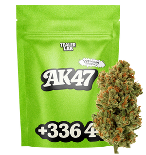 AK-47 - Fleur CBD 🔫 — vue alternative