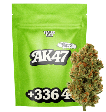 AK-47 - Fleur CBD 🔫