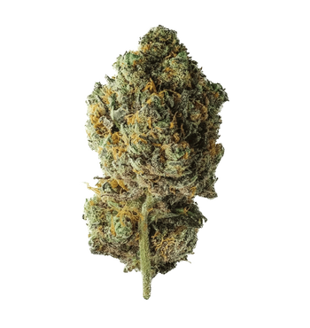 Billy Kimber Kush CBD+