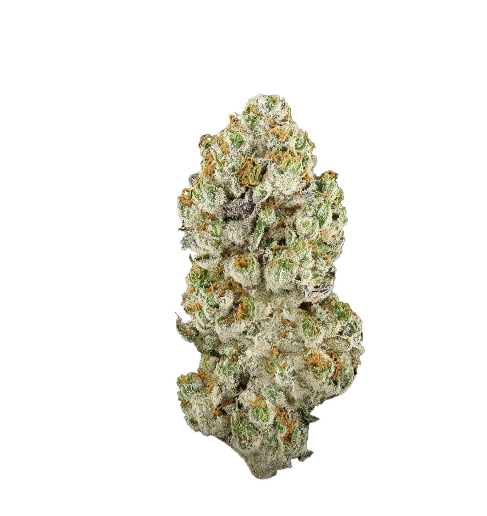 Cornetto Haze 24% CBX+