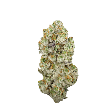 Cornetto Haze 24% CBX+
