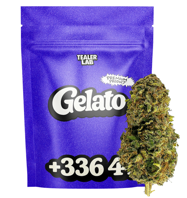 Gelato CBD - Fleur CBD 🧿