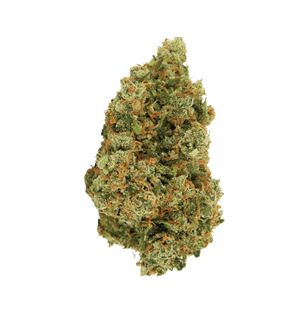 Jack Herrer CBD