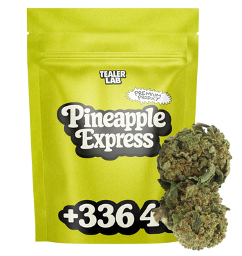Pineapple Express CBD