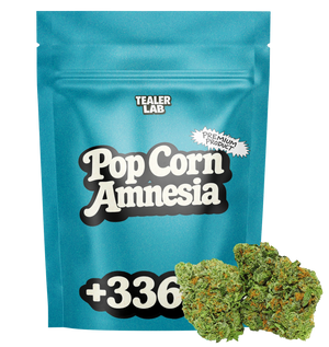 Pop Corn Amnesia - Fleur CBD 🍿 — vue alternative