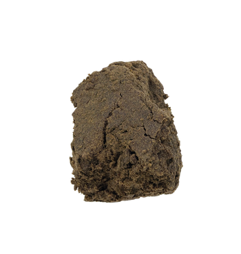 Tommy Shebly OG CBD+