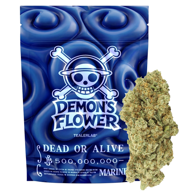Fleur du Démon - CBD+ 😈