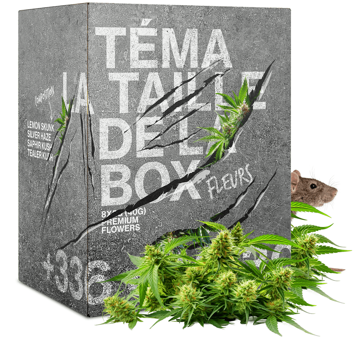 BOX DU RAT 20G FLEURS CBD 🐭