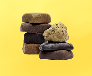 Toutes nos résine — Les meilleurs Hash