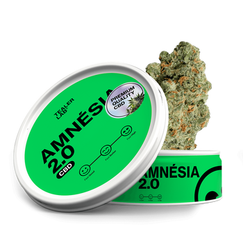 Amnesia 2.0 - CaliLab CBD 🦨