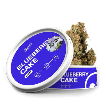 Blueberry Cake - CaliLab CBD 🧁