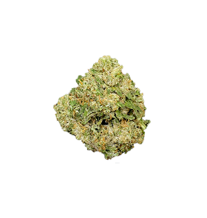KENNY KUSH CBD+