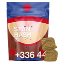 STAN HASH CBD+