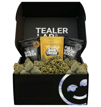TEALER BOX 25G