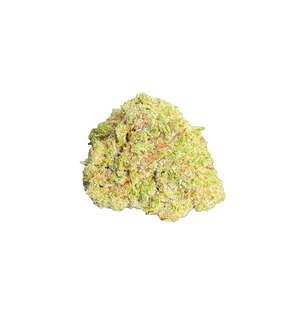 Spider Pop 19% CBX+