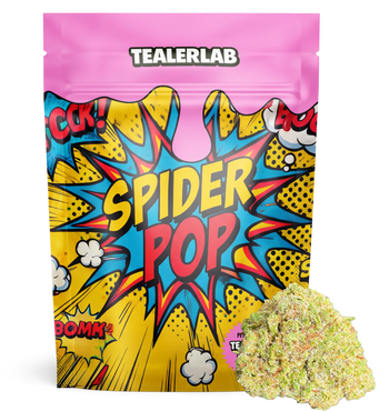 Spider Pop 19% CBX+