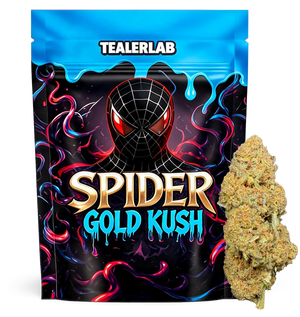 Spider Gold Kush 25% CBX+ — vue alternative