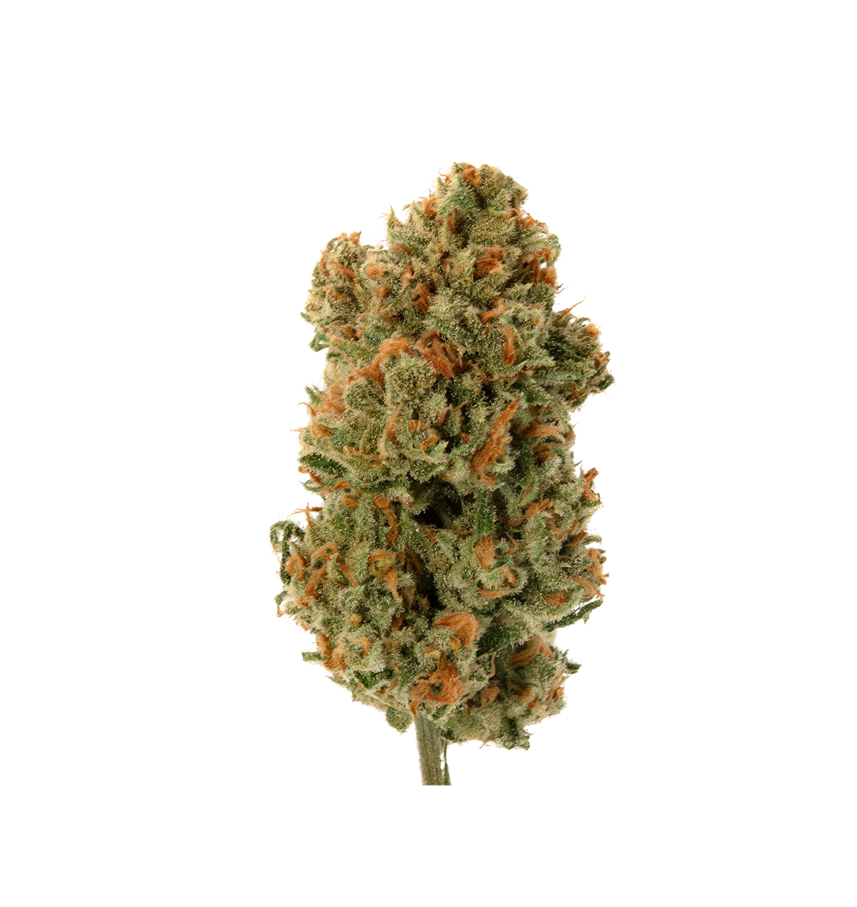 Dark Knight OG - Fleur 10 OH HHC