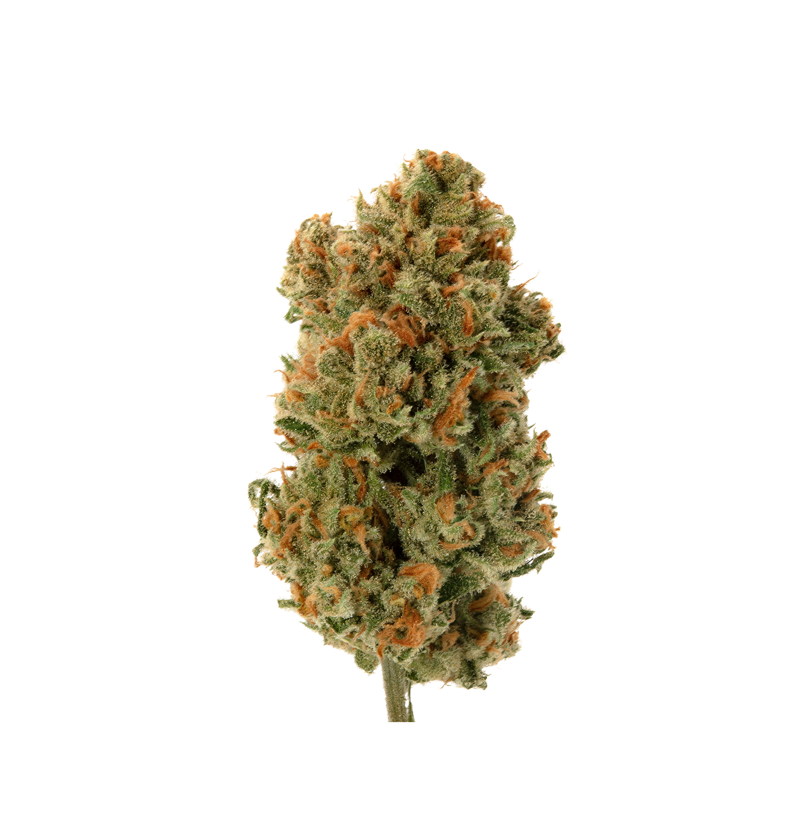 Dark Knight OG - Fleur 10 OH HHC