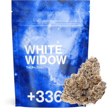 White Widow THCP+