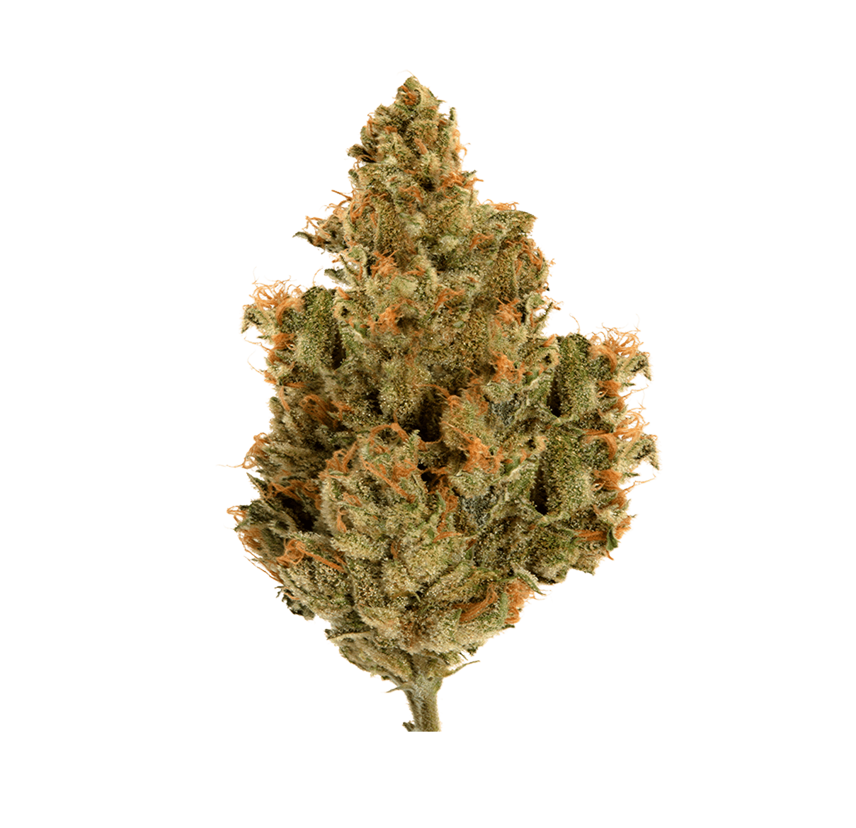 Blueberry Muffin - CaliLab CBD | Tealerlab