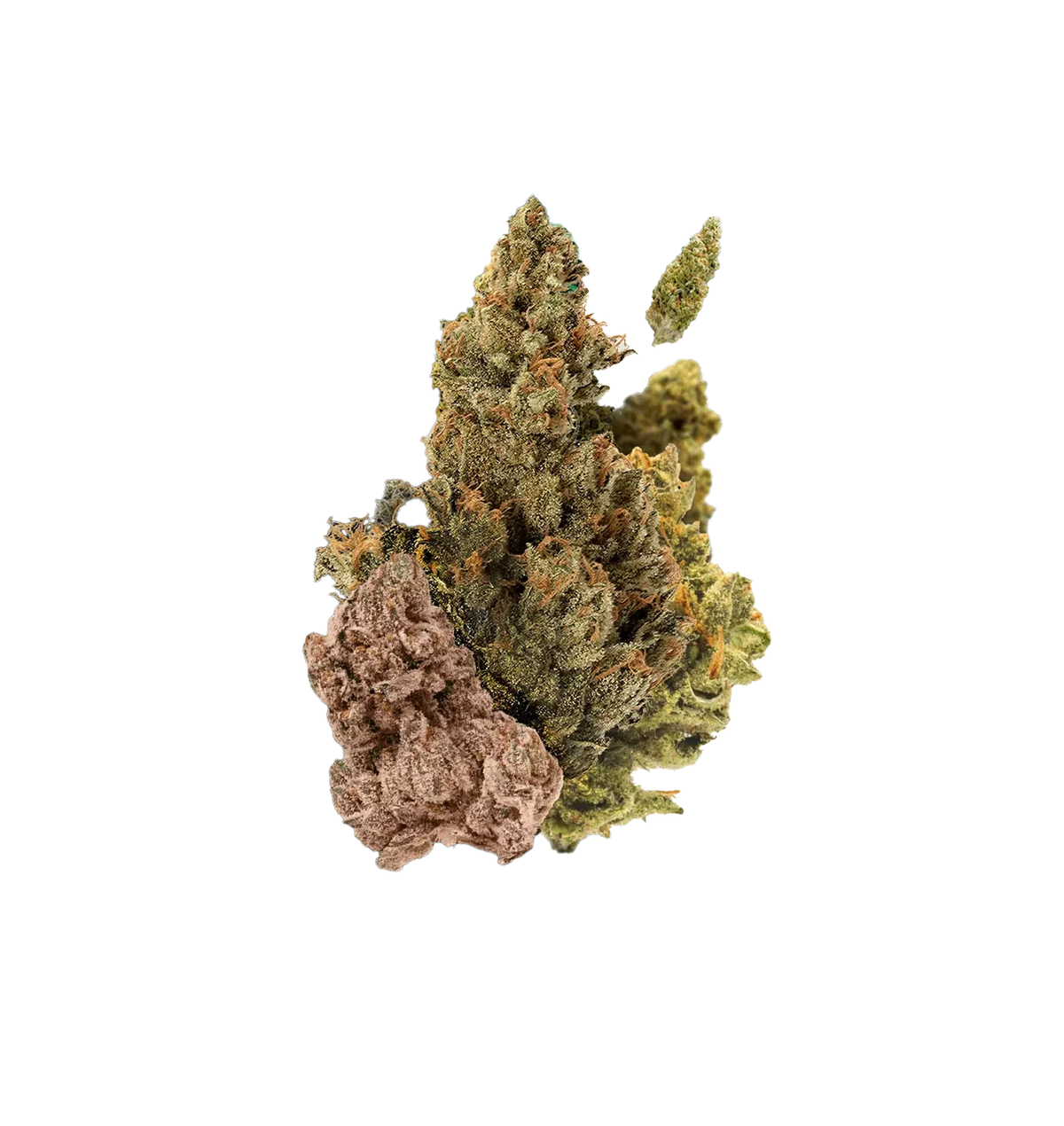 BOX DECOUVERTE 30G CBD 🌿