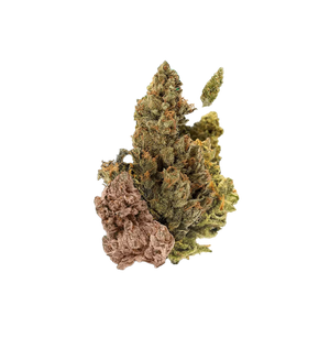 BOX DECOUVERTE 30G CBD 🌿