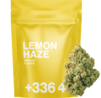 OFFERT - Lemon Haze - 10G