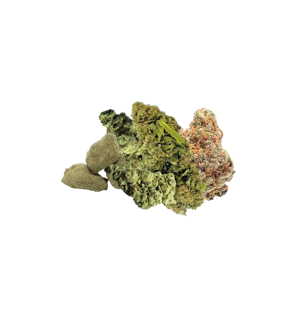 Pack CBD+ Bestseller