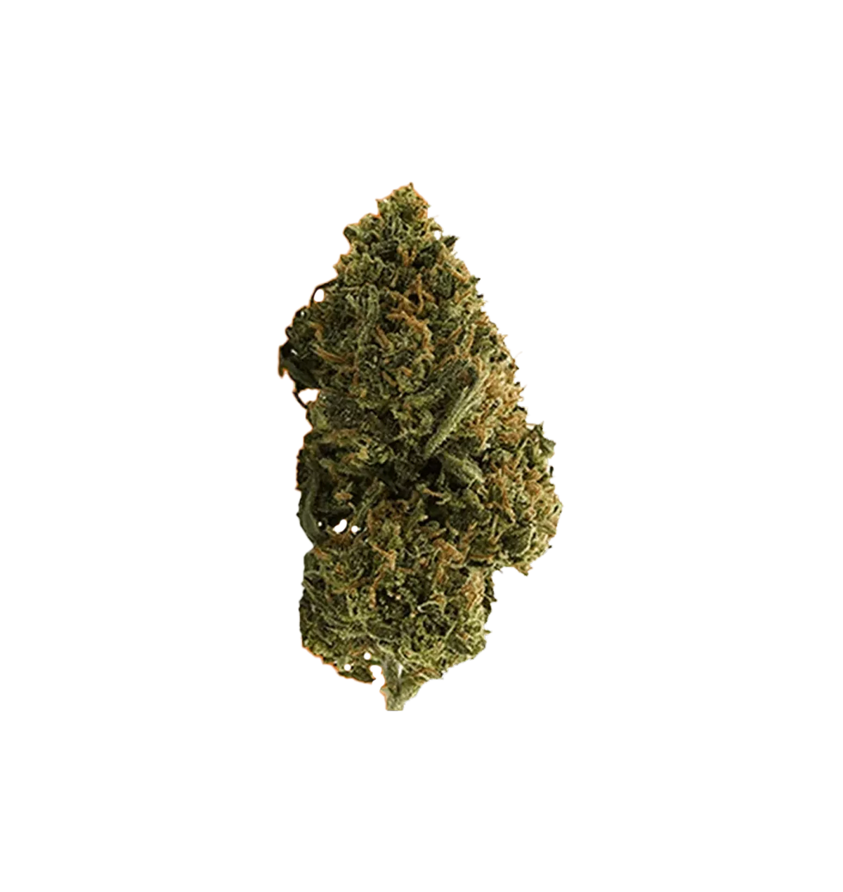 Orange Bud - Fleur CBD