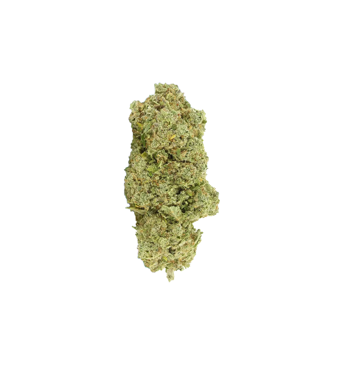 Champion Kush CBD+ 🏆