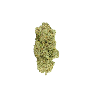 Champion Kush CBD+ 🏆