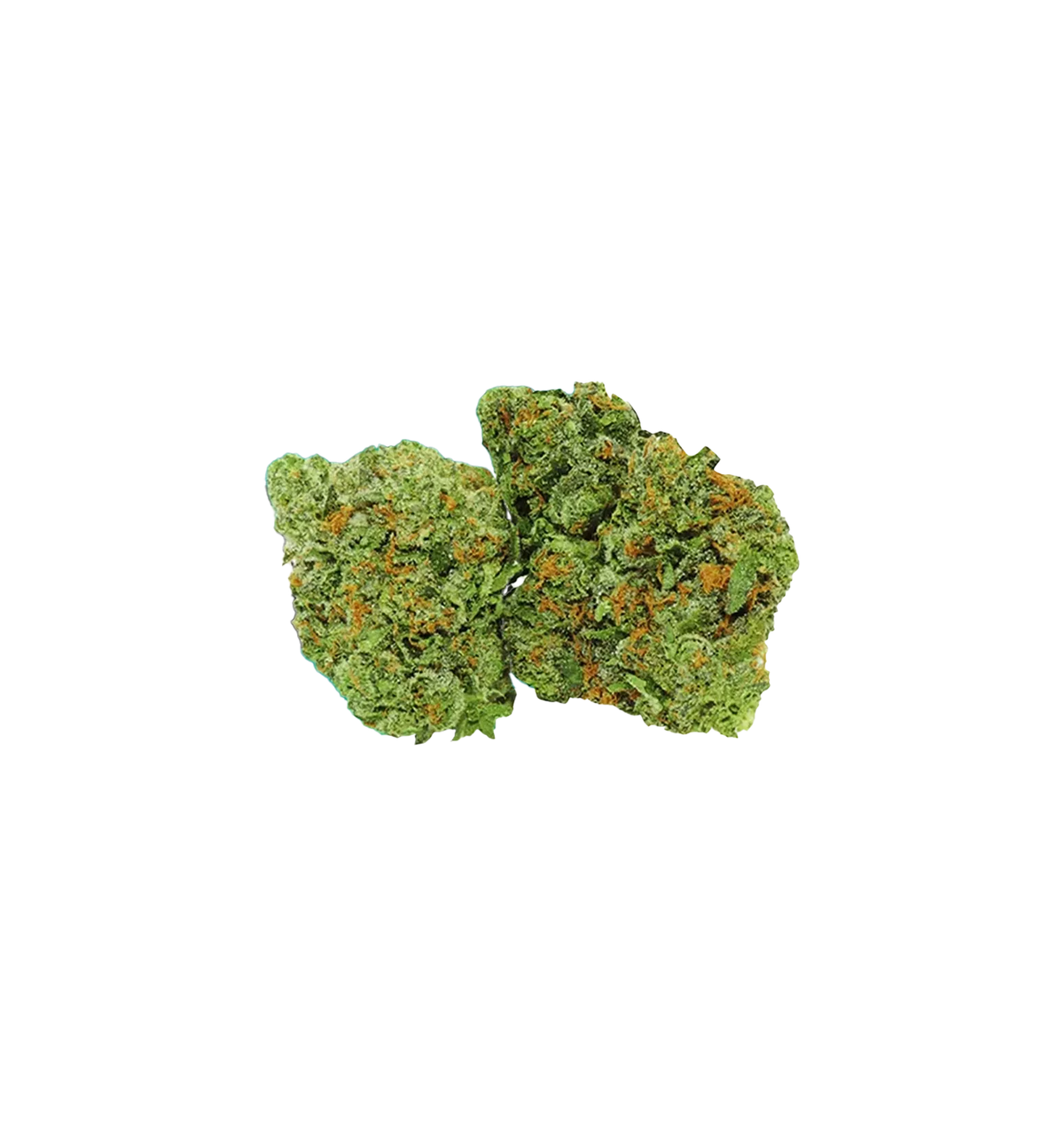 Pop Corn Amnesia - Fleur CBD 🍿