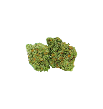 Pop Corn Amnesia - Fleur CBD 🍿